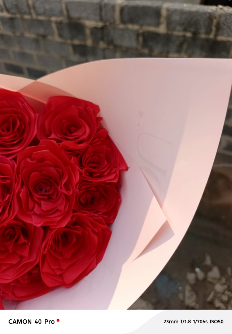 Close up of red rose bouquet