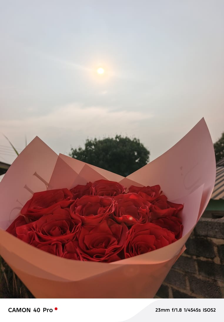 Red rose bouquet outdoors